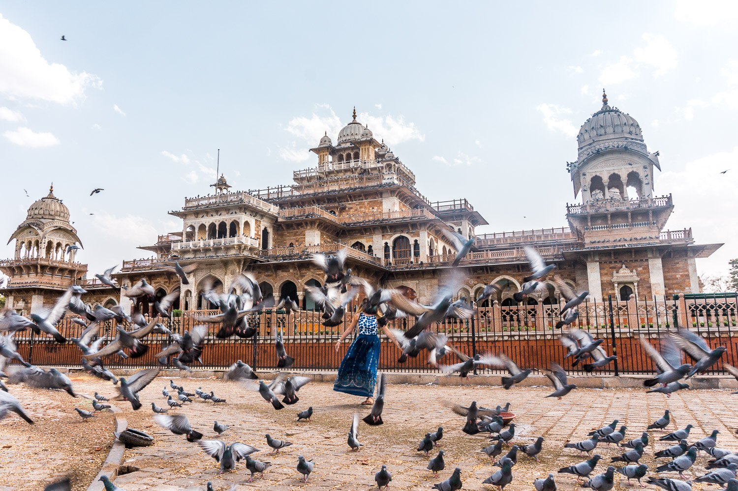 Pigeons outside Albert Hall Museum in Jaipur, India
