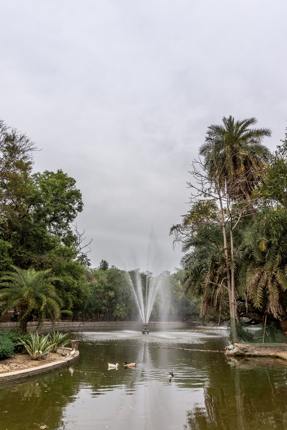 A large fountain and lake surrounded by palms