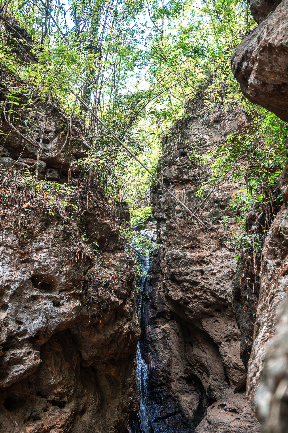 A narrow waterfall in a canyon
