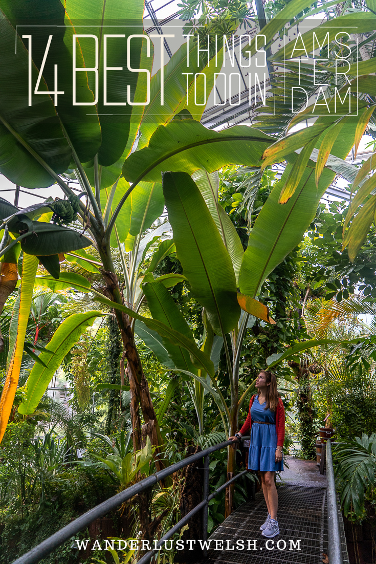 Girl looking up at huge palm leaves