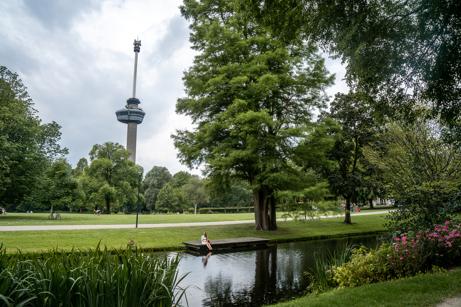 A peaceful park with the Euromast in Rotterdam in the background