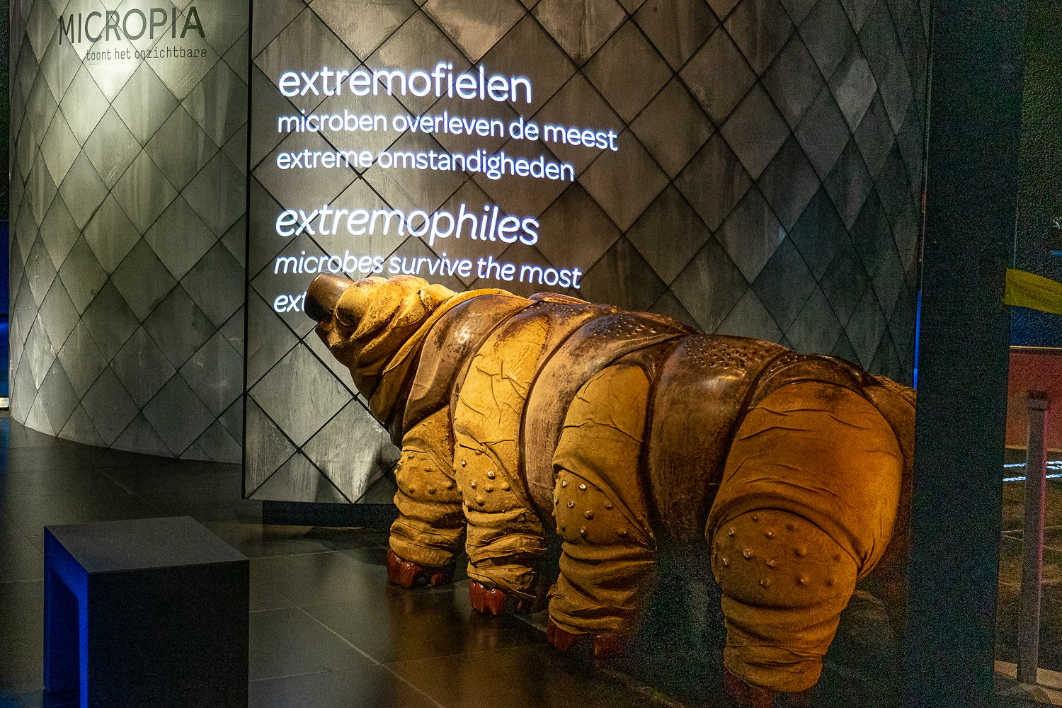 A large sculpture of the microbes known as waterbears