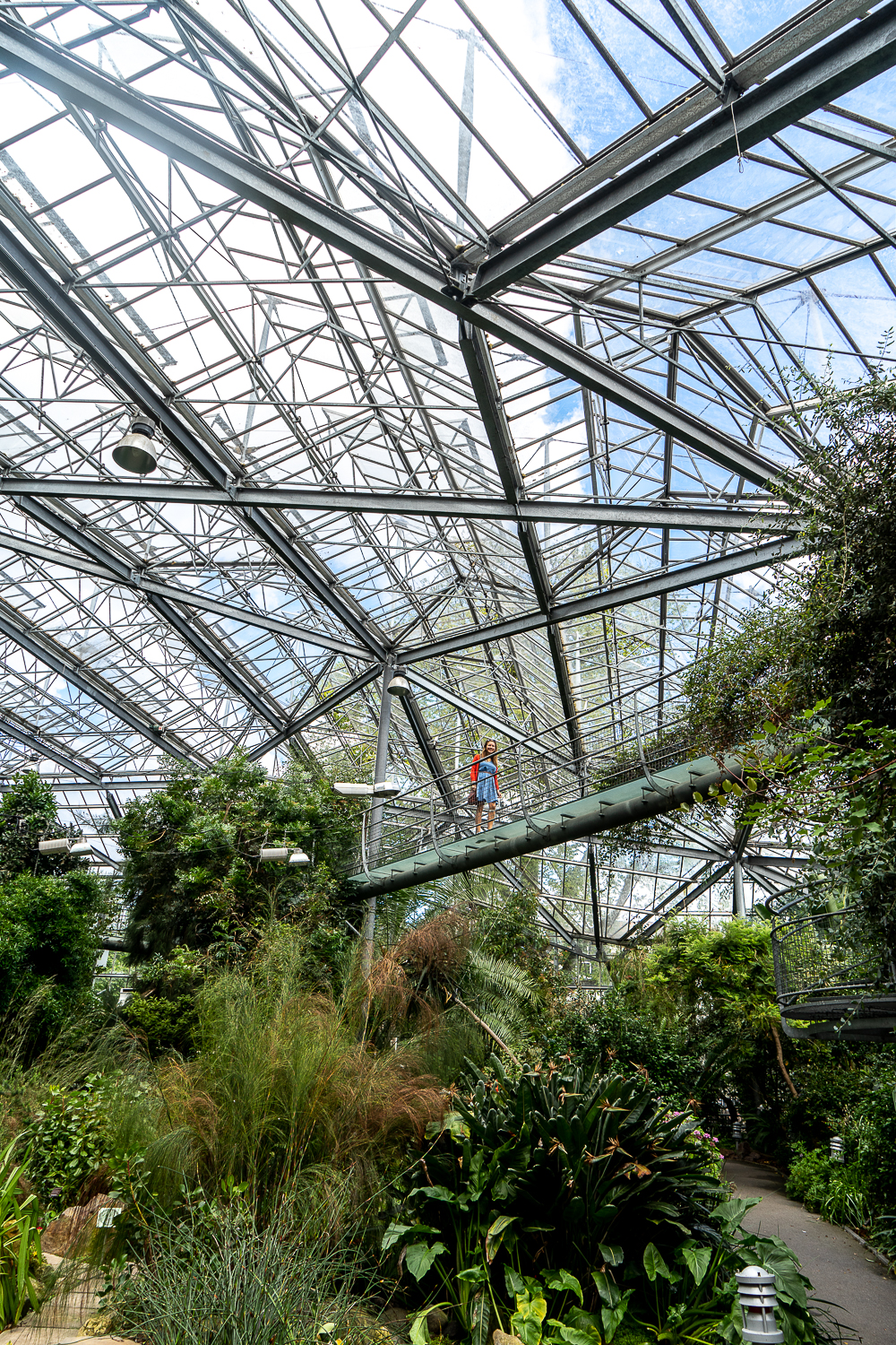 Inside a large metal and glass palmhouse with trees