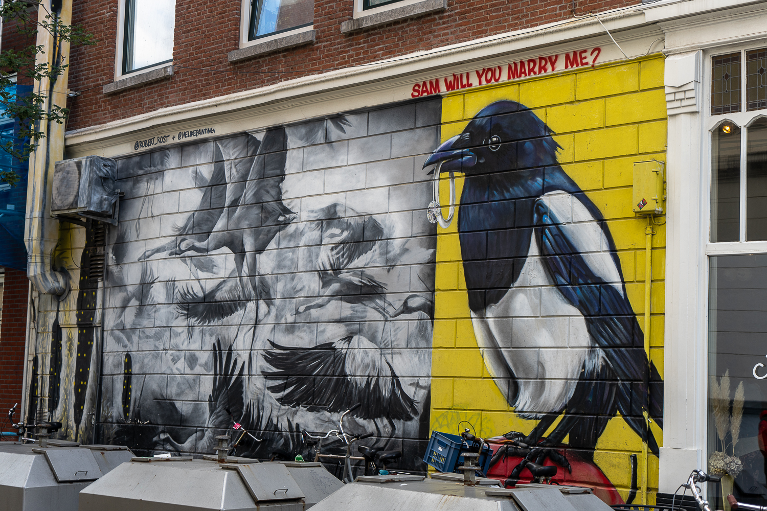 Bright street art of a magpie holding an engagement ring in his beak on yellow background and large black and white birds