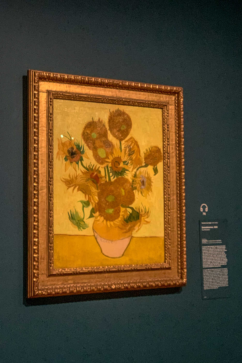 Sunflowers by Van Gogh in the Van Gogh Museum