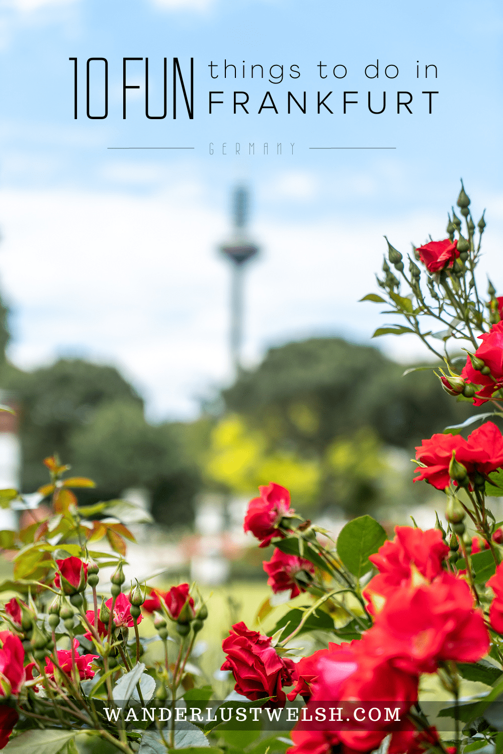 The botanical garden in Frankfurt. Macro of red flowers with a large needle building out of focus in the background