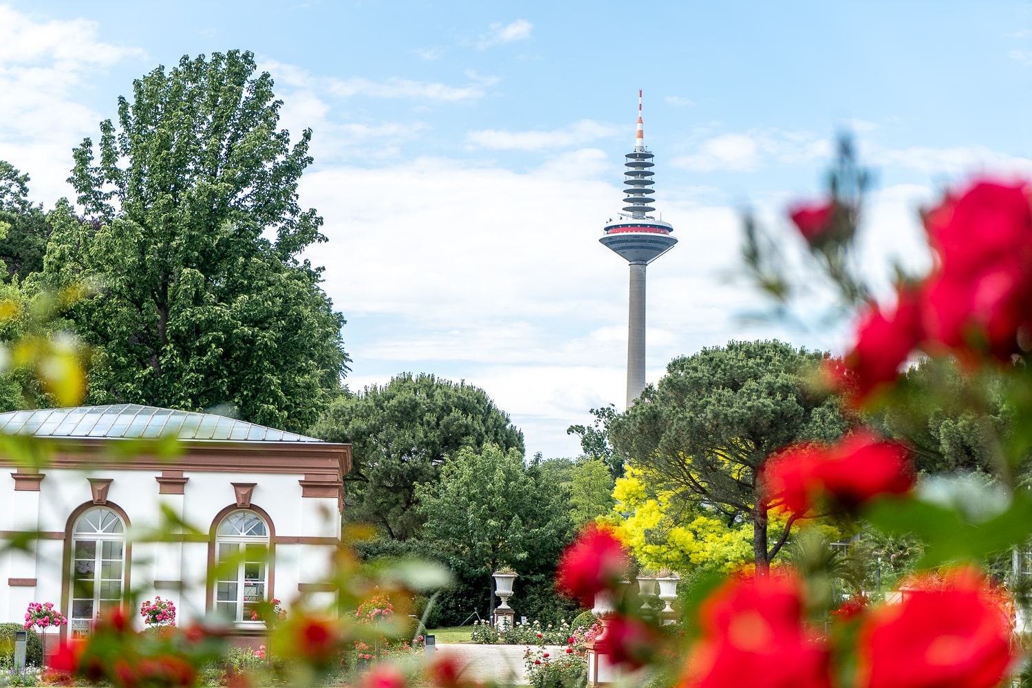 A large needle style building framed by flowers and a park