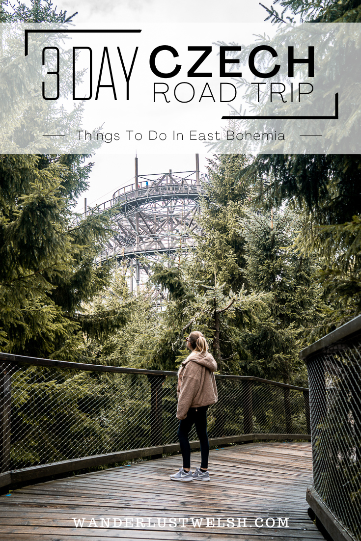 A girl among the trees looking up at a twisted metal structure