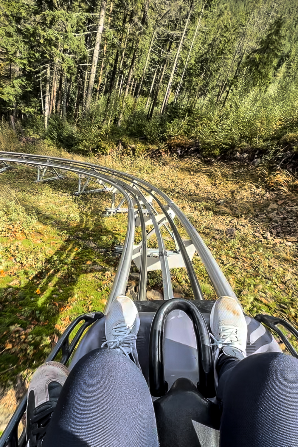 A point of view photo of a girl's legs riding a toboggan or alpine coaster through an evergreen forest