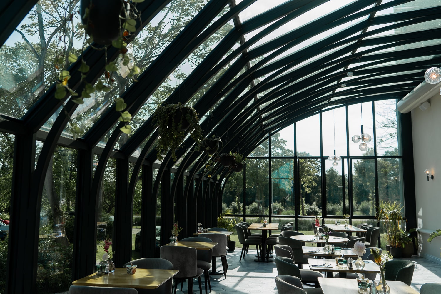 A restaurant in a greenhouse style conservatory with hanging plants