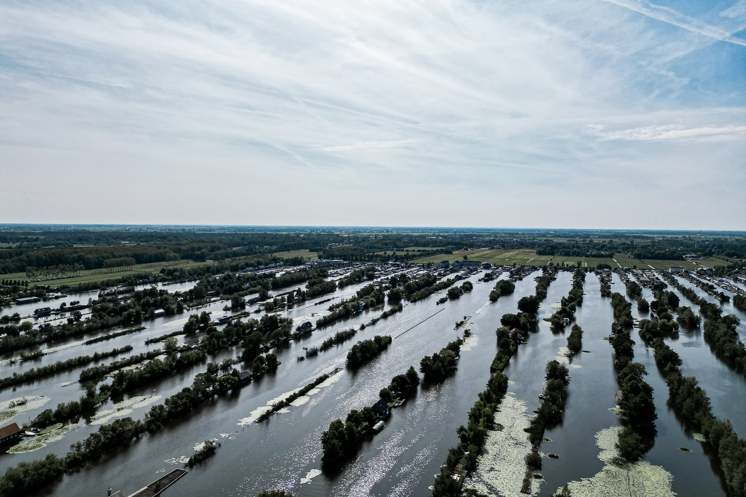 A lake with thin islands of trees in straight lines