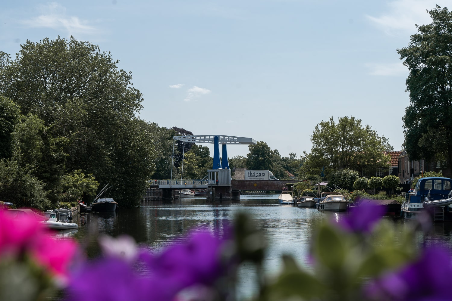 A view of the river Vecht in Vreeland, framed by vibrant pink and purple flowers in the foreground