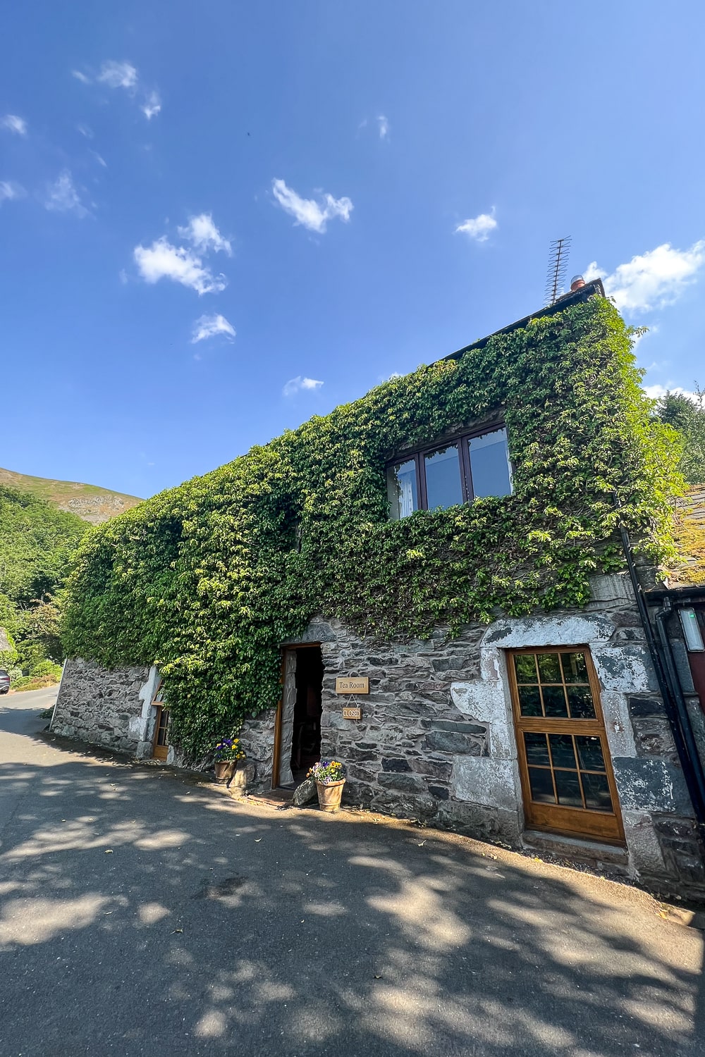 a stone tea room covered in ivy
