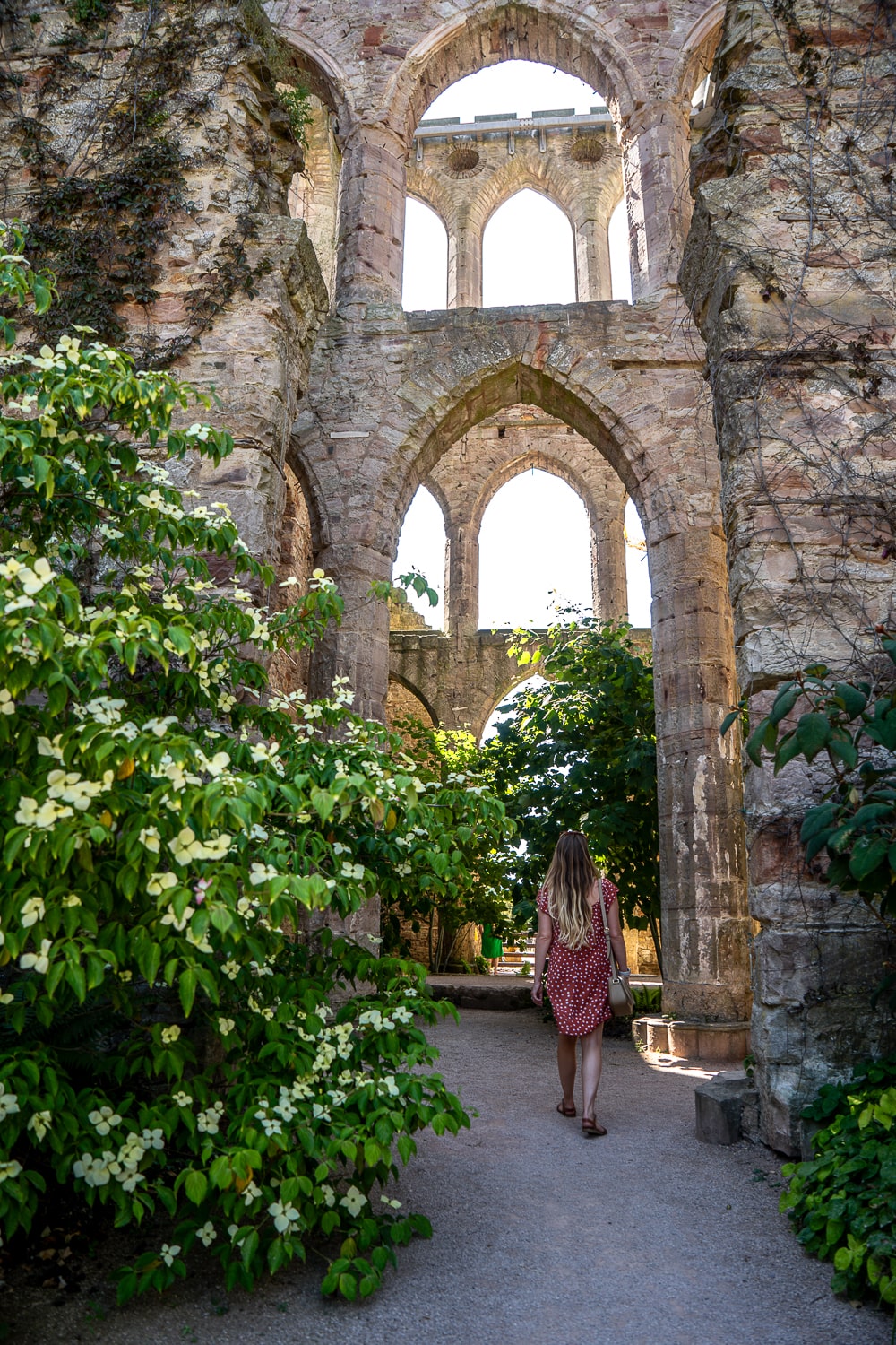 a gothic castle courtyard garden