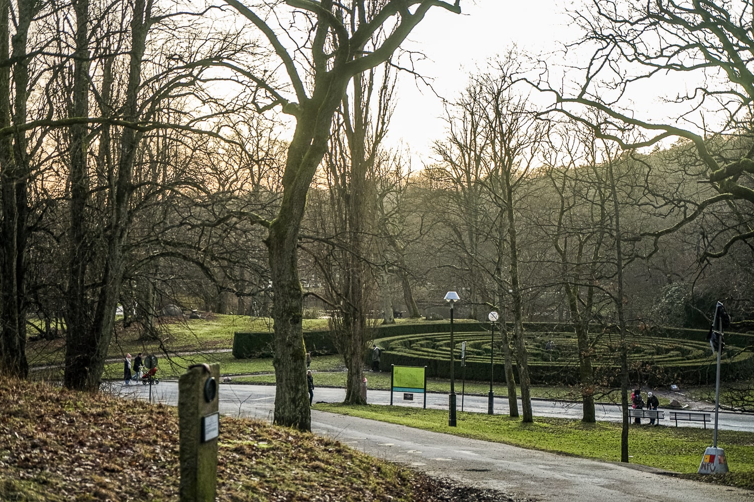 A park in winter, with bare trees and a spiral hedge maze