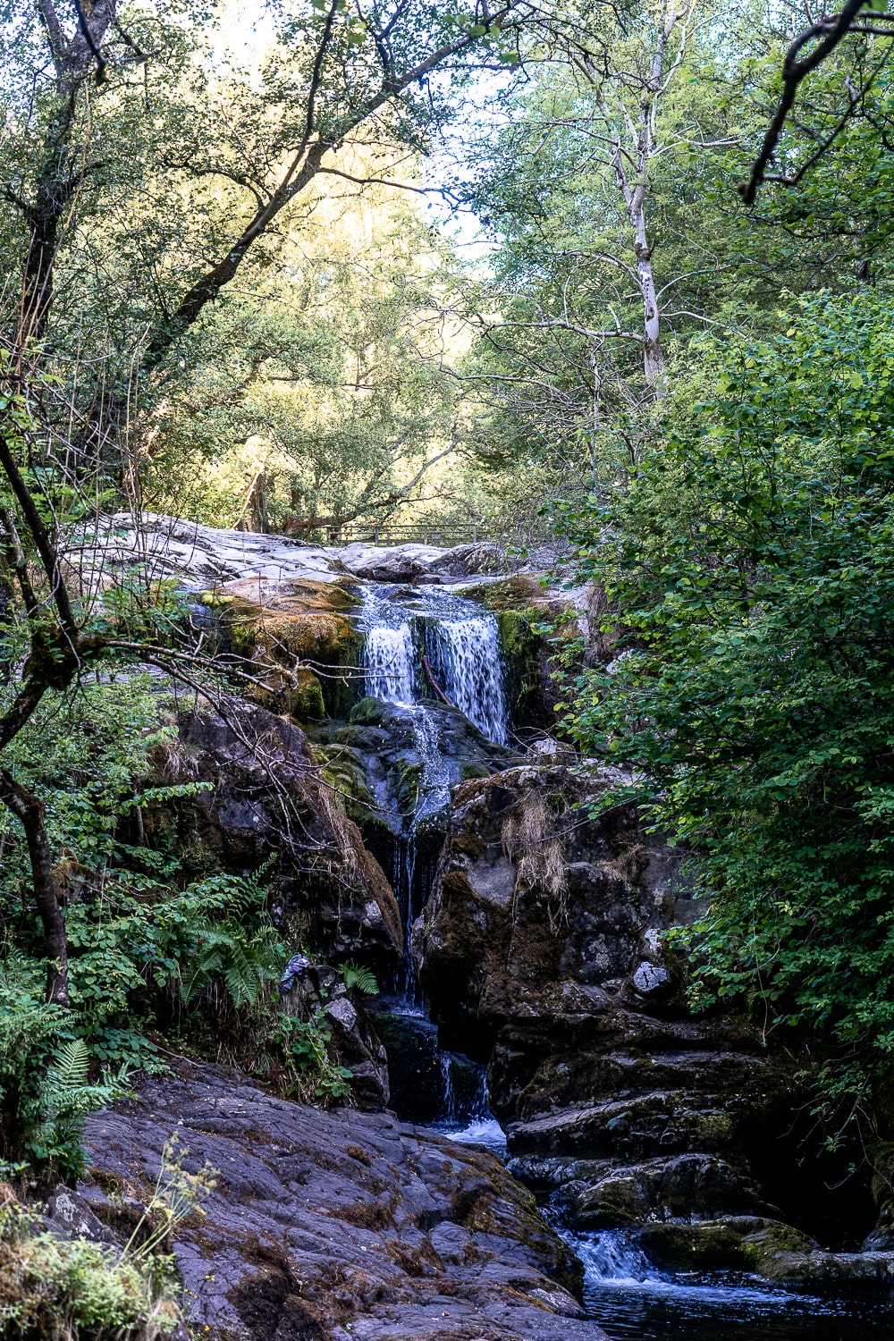 a waterfall in a shady forest area