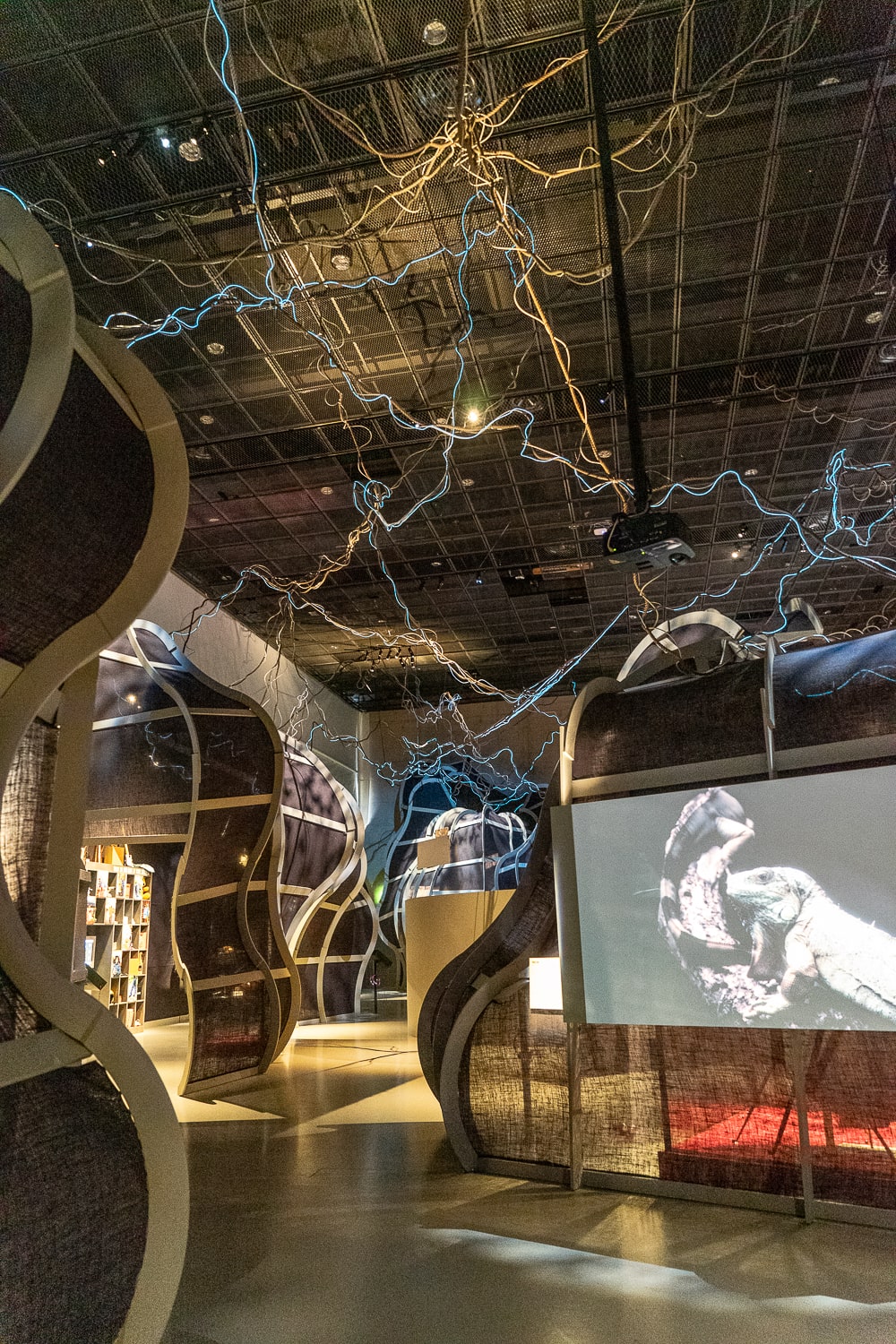 Inside a museum with electrical wire and lights that looks like electric sparking over the ceiling