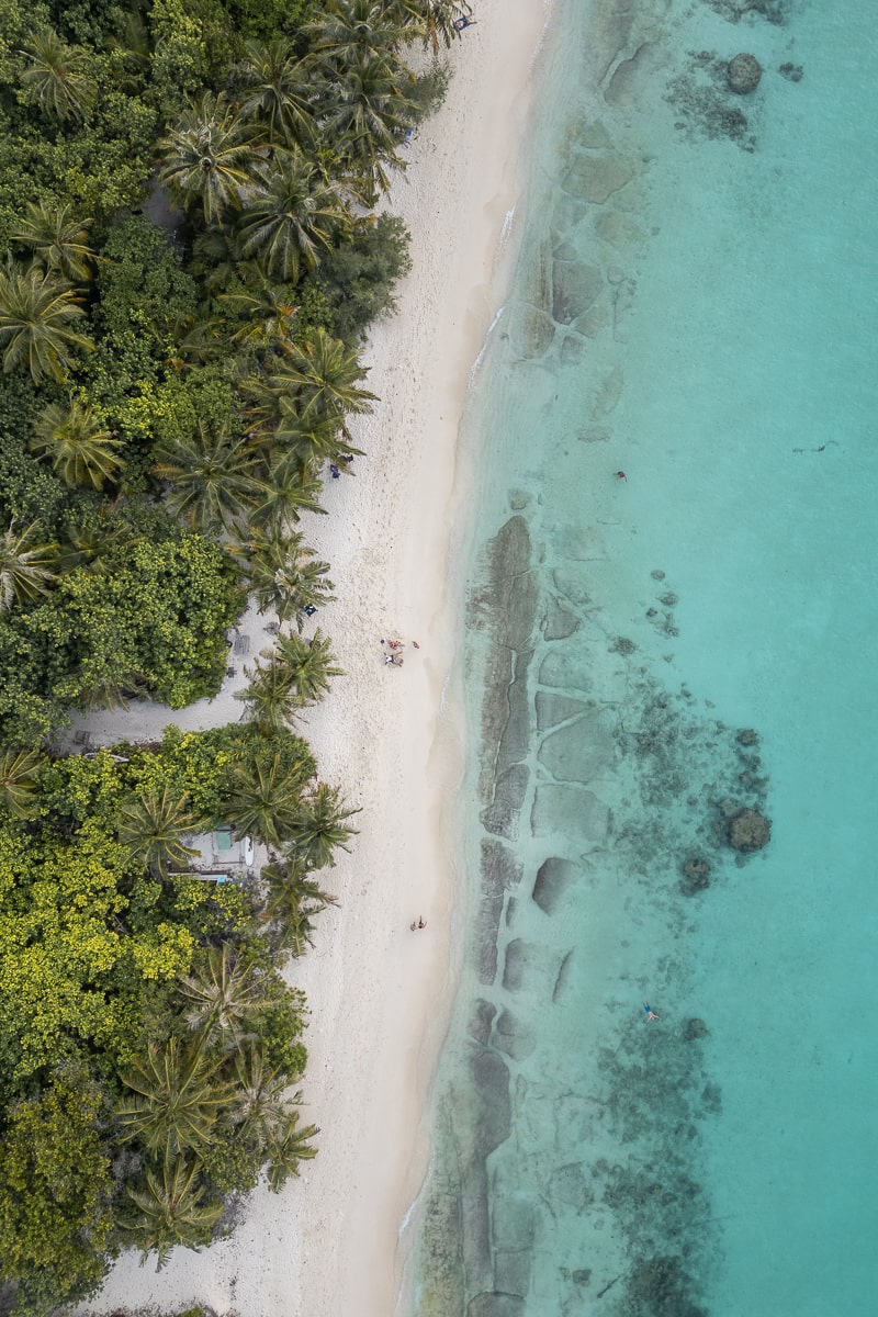A bird's eye view of a beach in the Maldives with a bright blue sea and a palm treeline either side