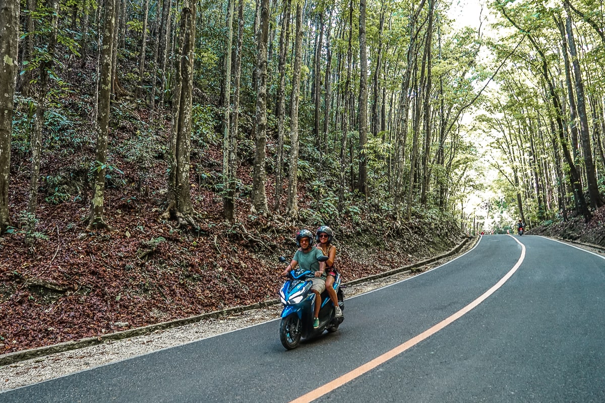 A couple riding a scooter through the perfect straight trees of the Bilal Man-Made Forest