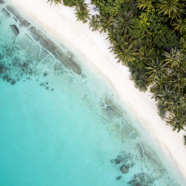 A top down view of a Maldives beach with a vibrant blue sea and a dark green treeline on either side