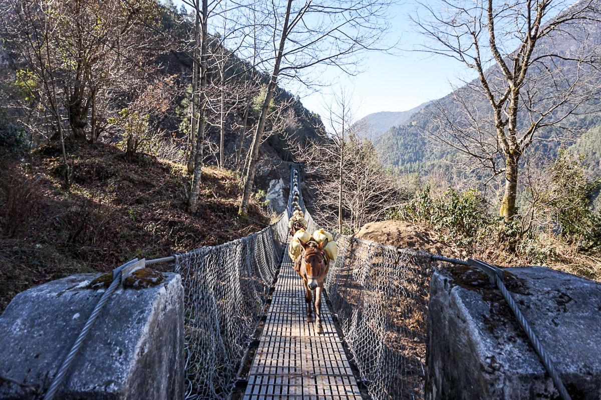 A caravan of laden donkeys crossing a metallic suspension bridge high in the Himalayas