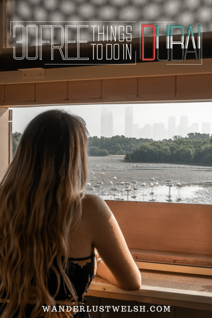 A girl watching Flamingos from a bird hide with the Dubai skyline in the background