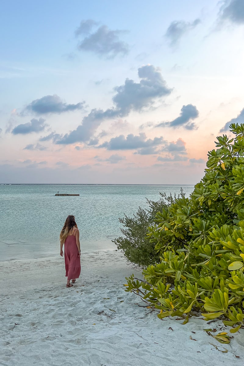 A person walking along the beach with large green mangrove type bushes