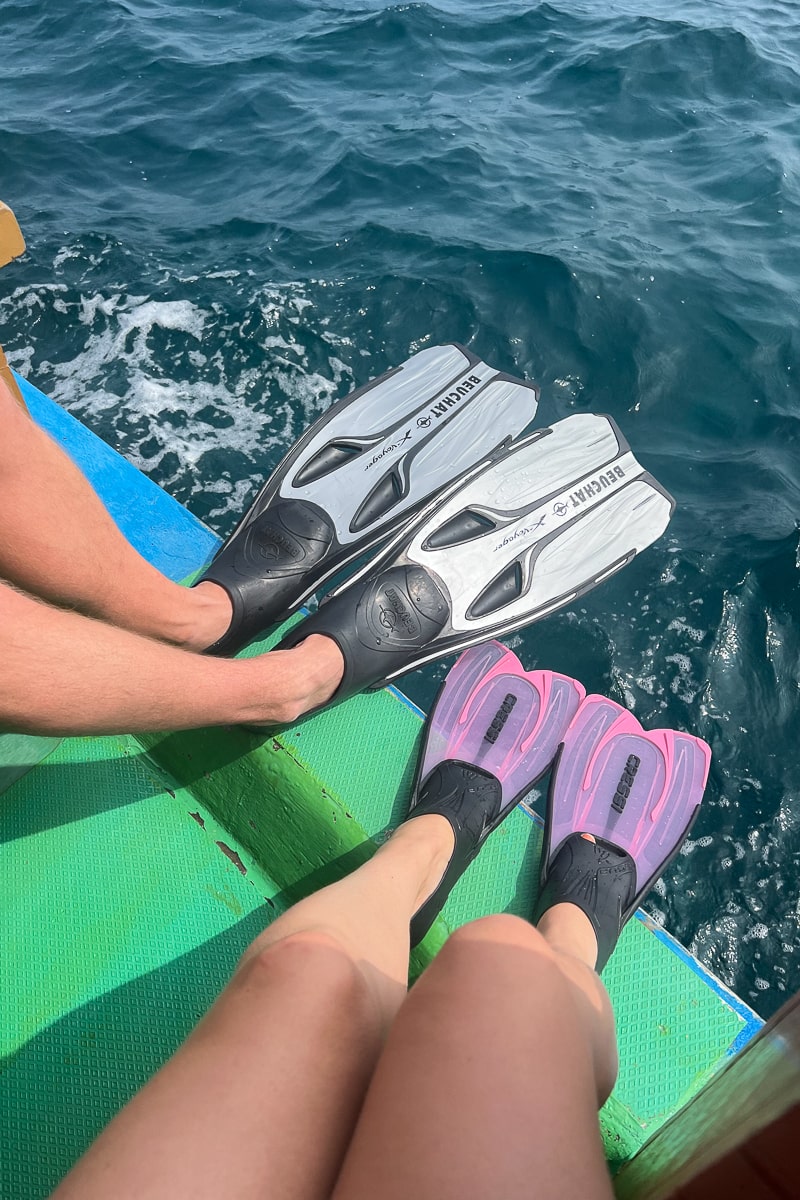 Two pairs of legs, one with grey fins, the other with pink fins, and the water below