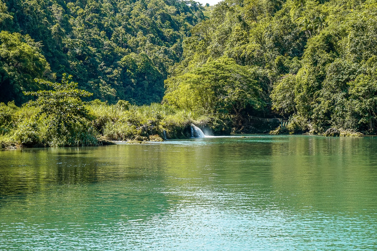 A river in a jungle with a small waterfall