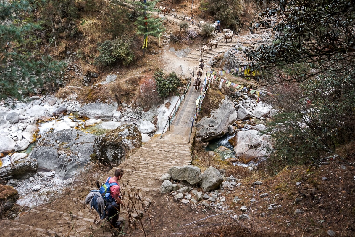 A man with trekking gear waiting for a caravan of donkeys to cross a small bridge