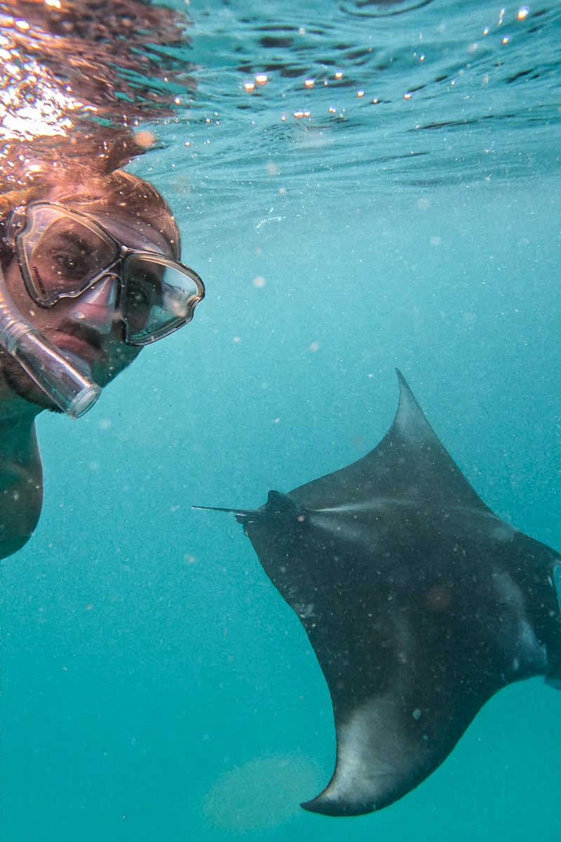 A man snorkelling with a large manta ray below