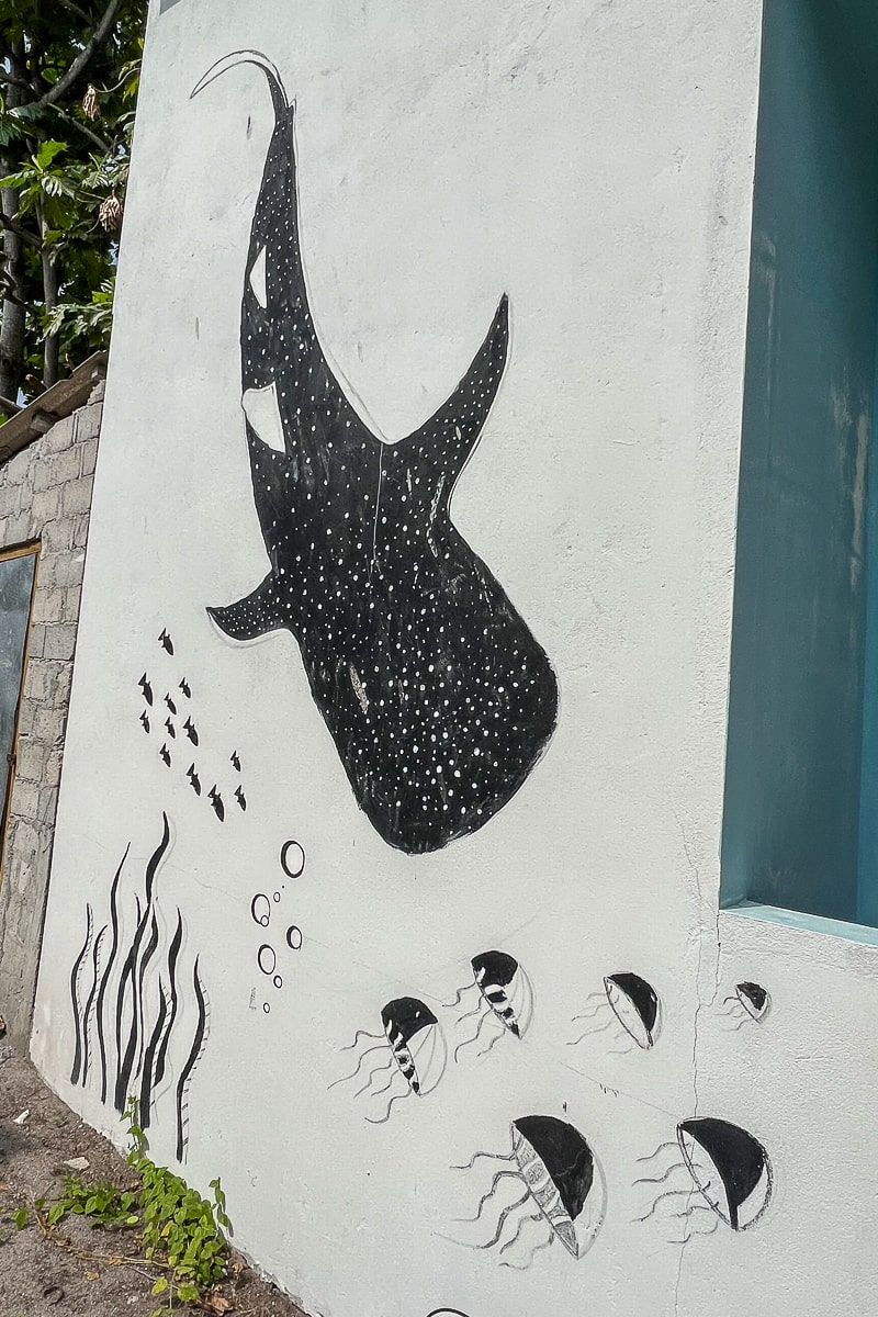 Black and white street art of a whale shark and jellyfish