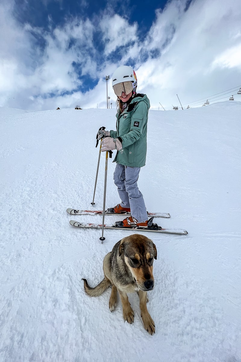 A girl stood on skis on a ski slope with a shy looking tan colored dog in the foreground