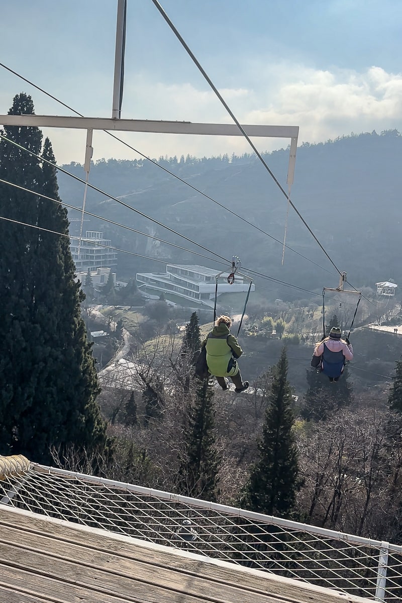 Couple ziplining over a botanic garden