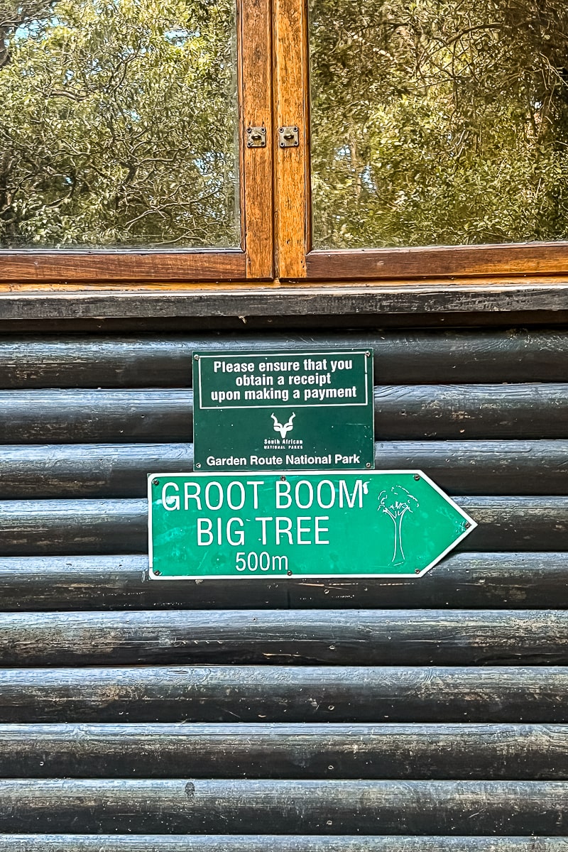 A green signpost reading "Groot Boom / Big Tree"