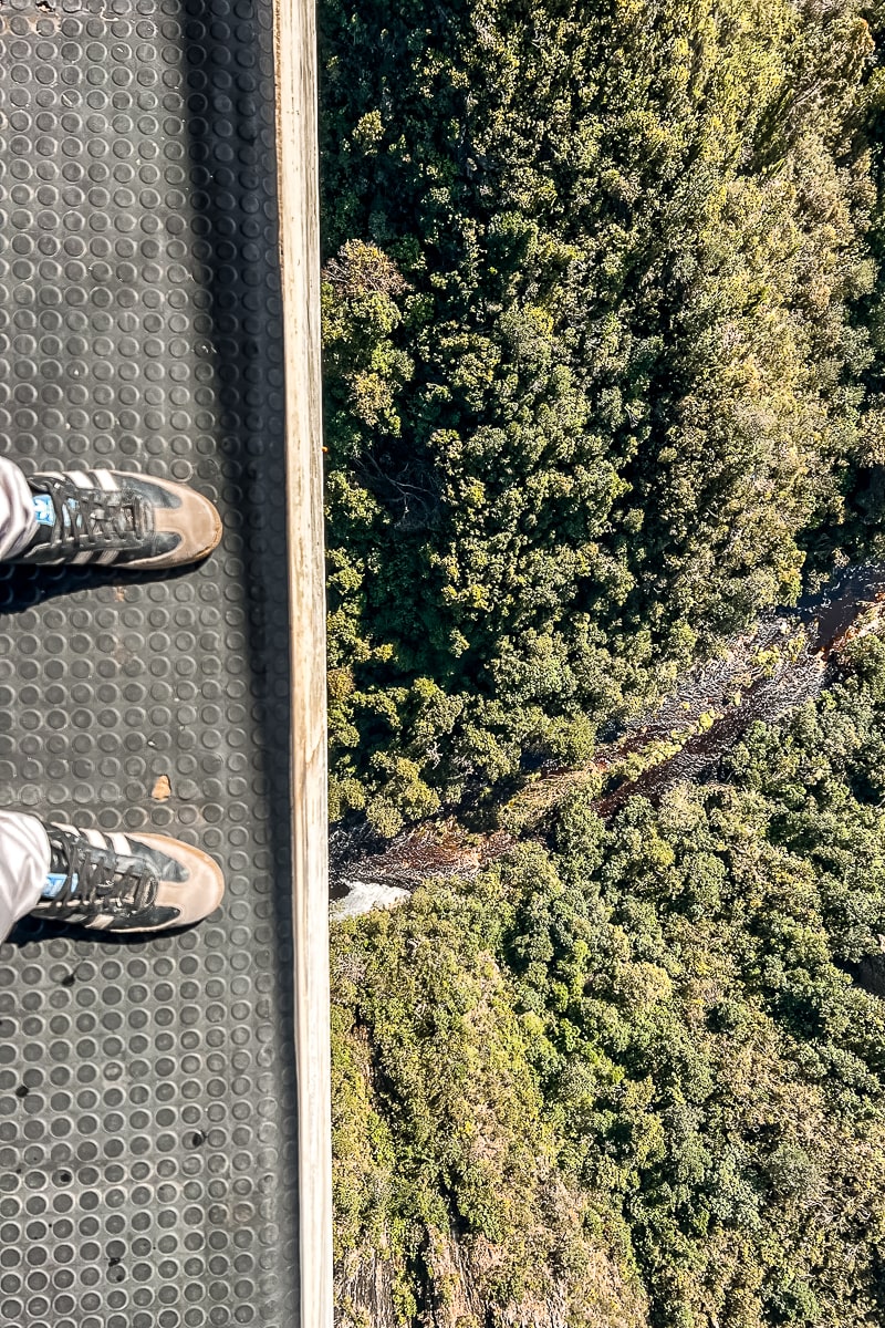 Someone's feet standing at the edge of a huge drop with trees far below