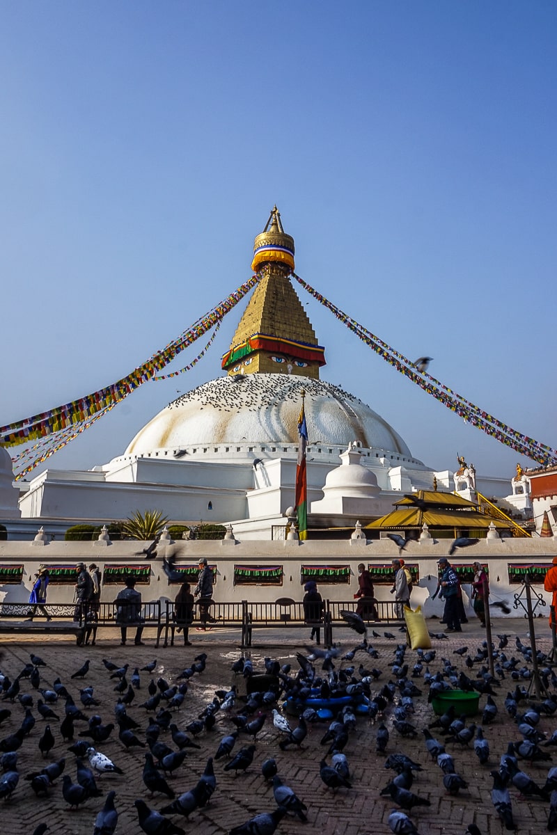 Boudhanath white and gold stupa in Kathmandu, pigeons in the foreground