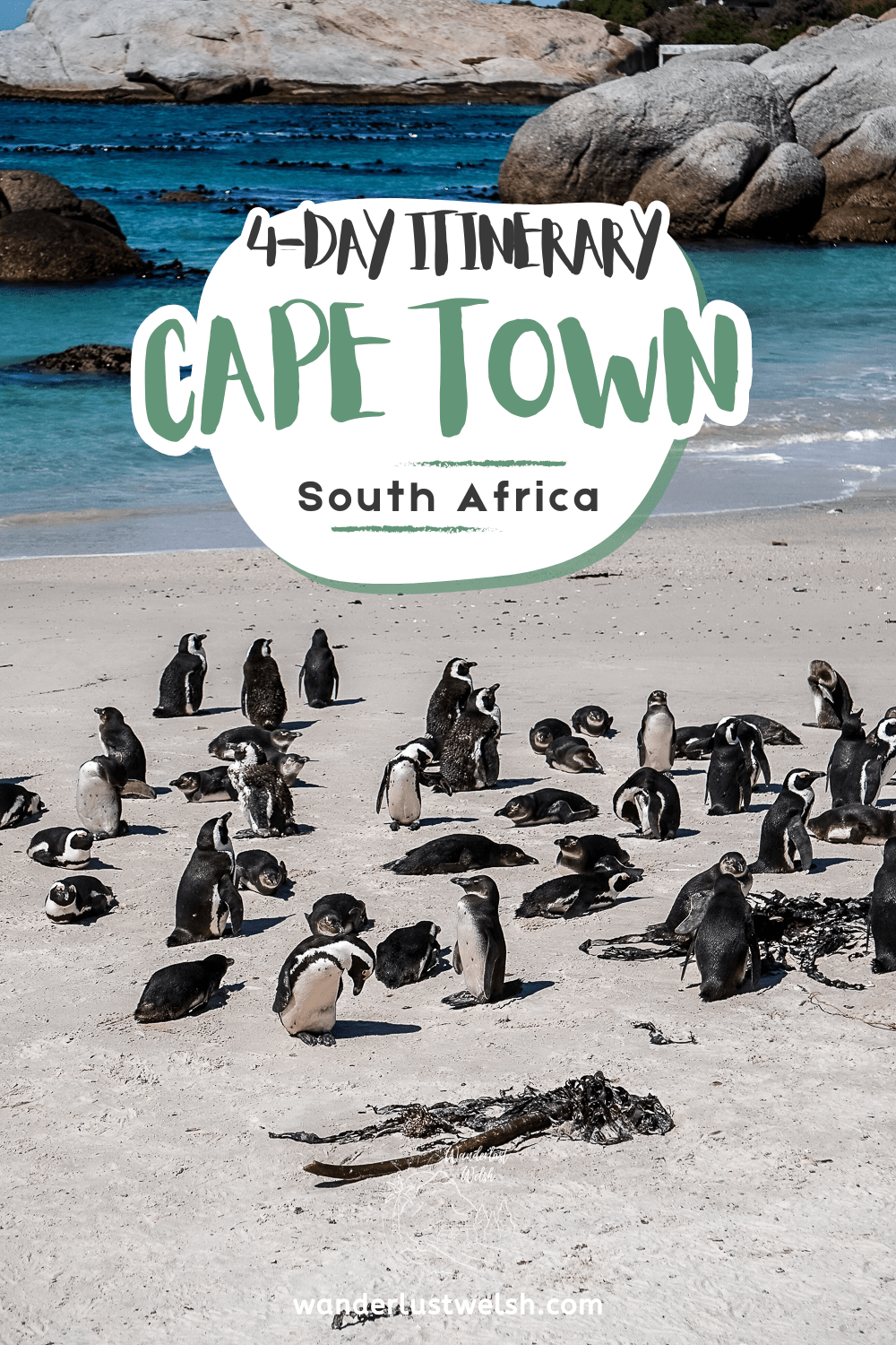 African Penguins gathered on a beach with the words "4-day itinerary Cape Town, South Africa" superimposed