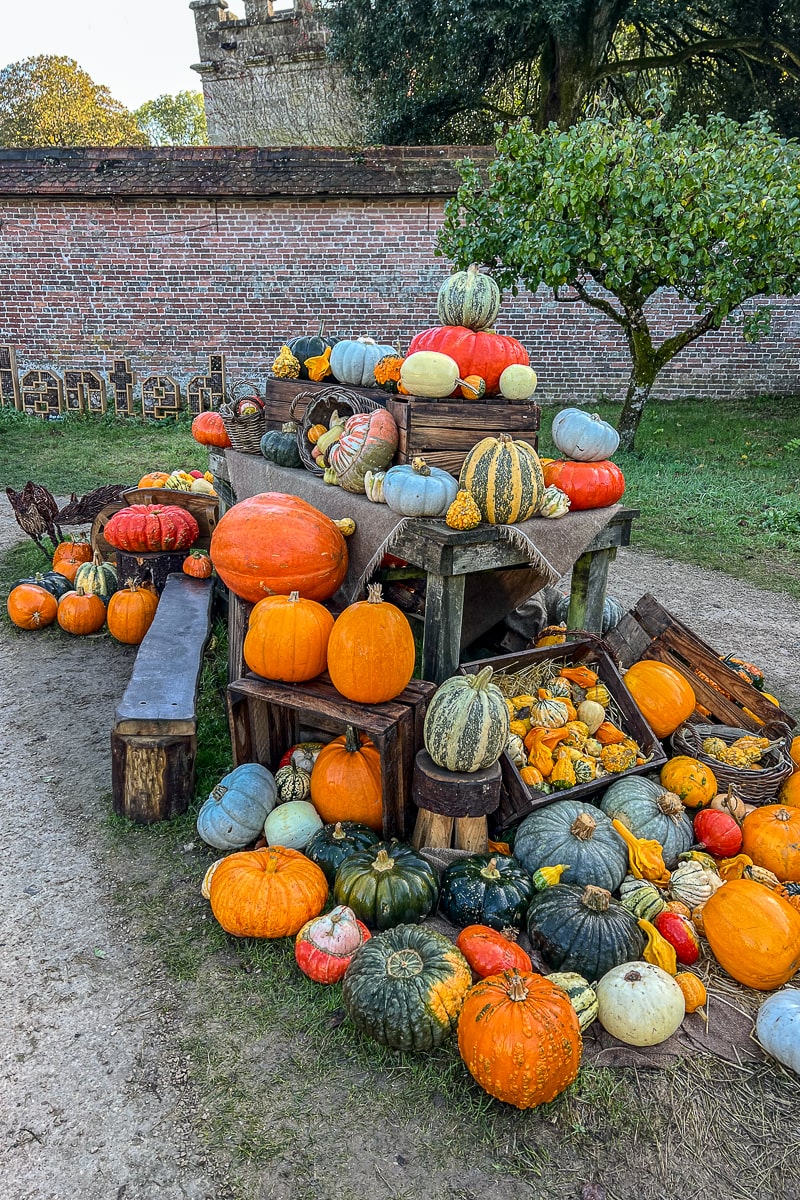 A huge collection of pumpkins on tables and benches