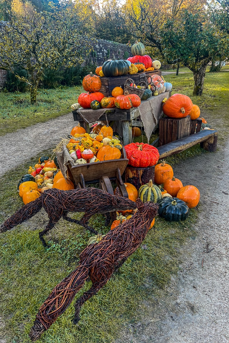 A huge collection of pumpkins and foxes made of wicker