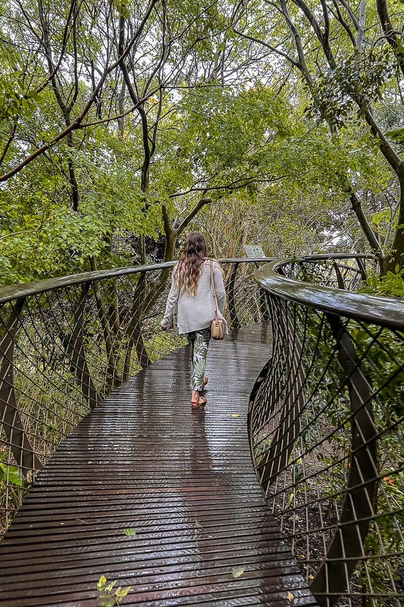 A woman walking on a raised boardwalk through a tree canopy