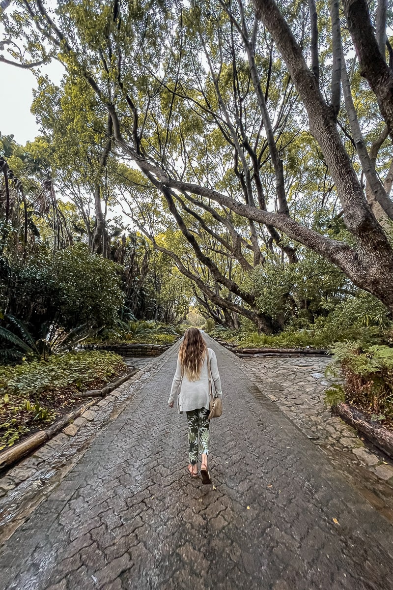 A woman walking on a path covered by a row of trees