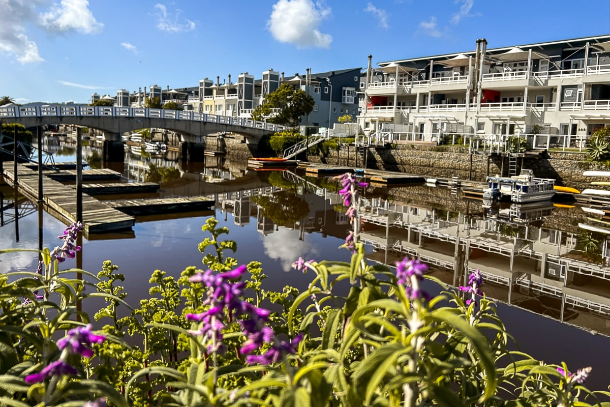 A marina with purple flowers
