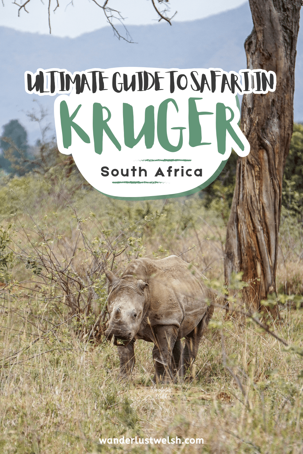 A baby rhino with the words "Ultimate guide to safari in Kruger" superimposed