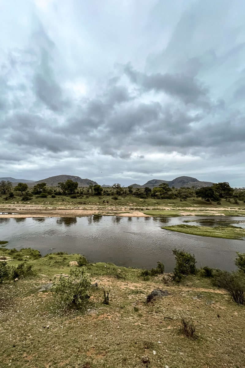 A view of a river running through a safari