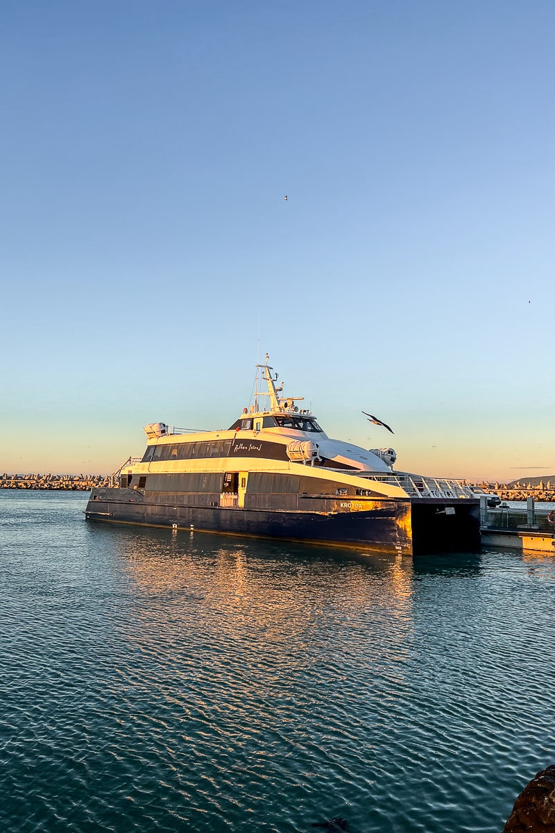 A large catamaran ferry docked
