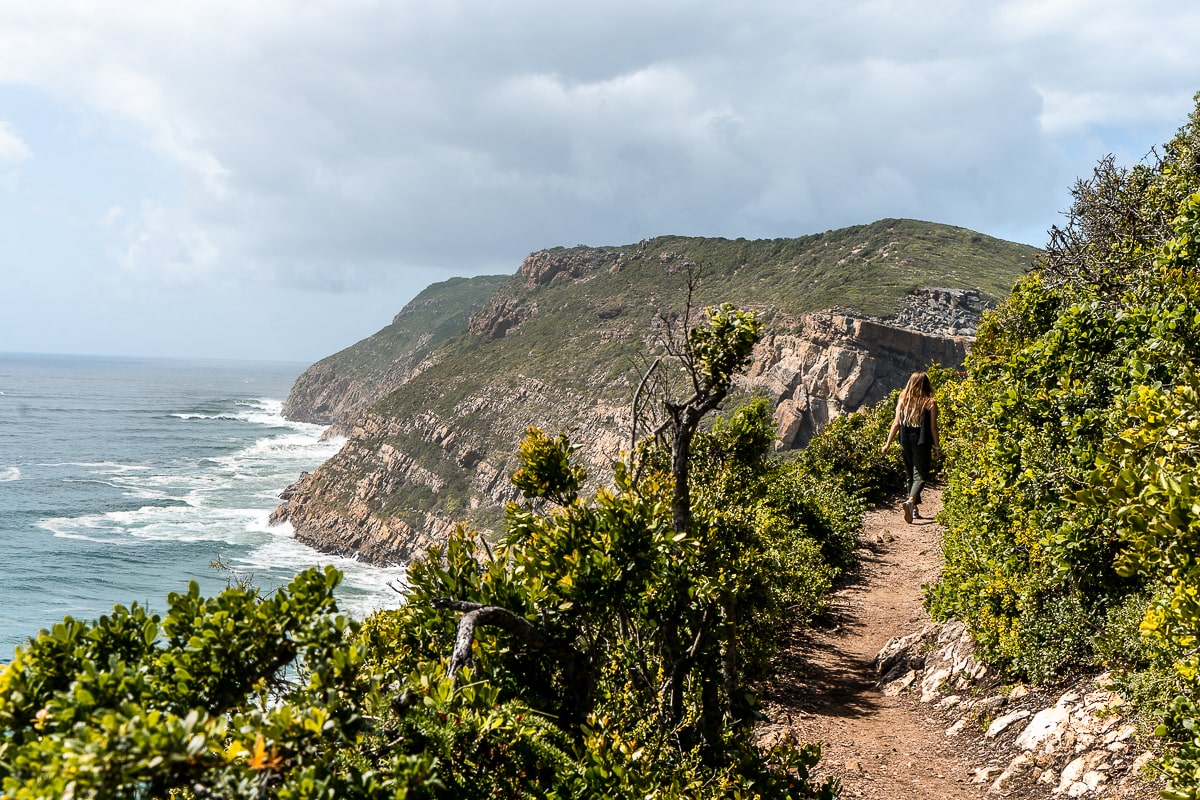 A dirt trail going through thorny bushes on a cliff next to the sea