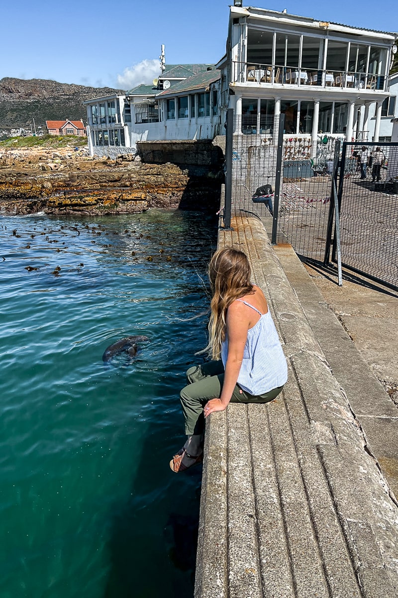 A woman sat on the edge of a pier watching seals in the water below