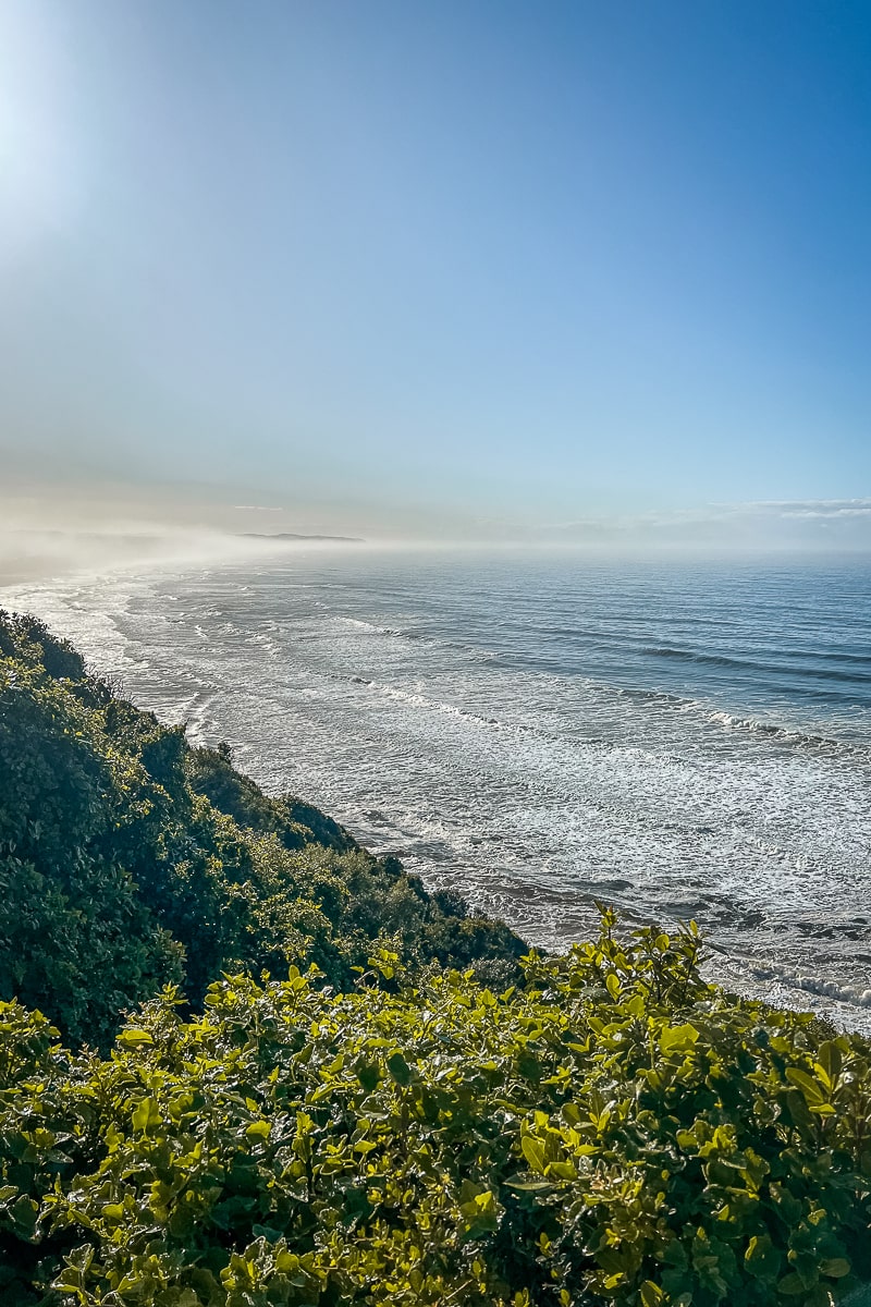 A coastline of bushes and shrubs