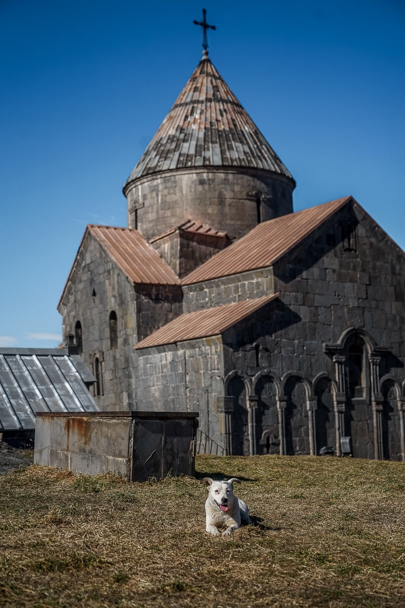 A dog laying in the sun in front of an Armenian monastery